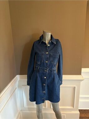 Zara Dark Blue Denim Button-Front Dress sz Large